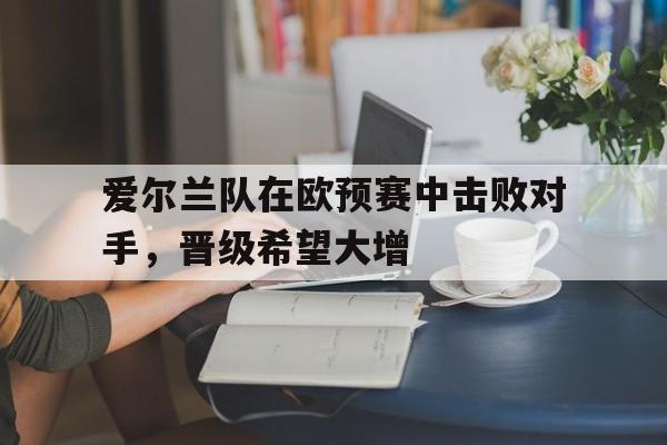 爱尔兰队在欧预赛中击败对手，晋级希望大增的简单介绍